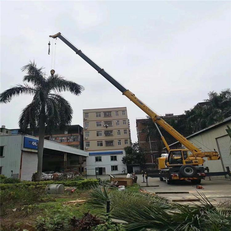 桂平吊车吊大树几种方法